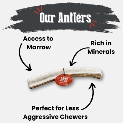 Elk Antler Dog Chews