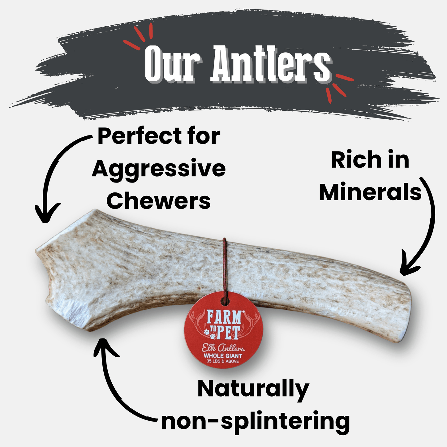 Elk Antler Dog Chews