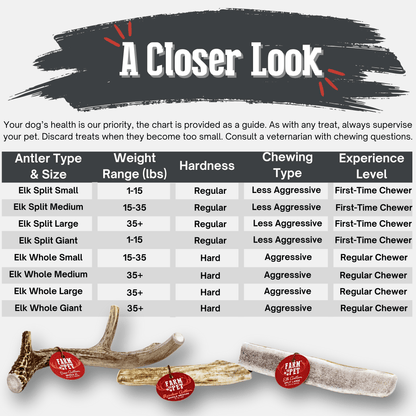 Elk Antler Dog Chews
