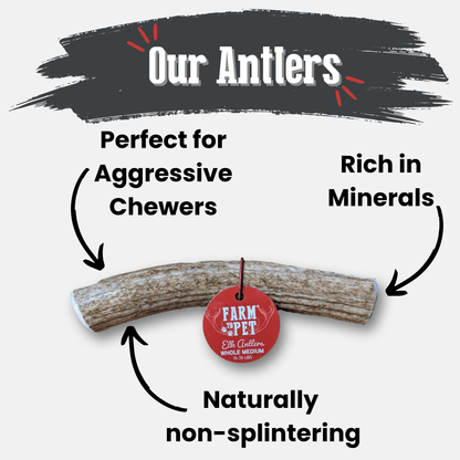 Elk Antler Dog Chews