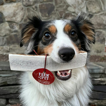 Elk Antler Dog Chews