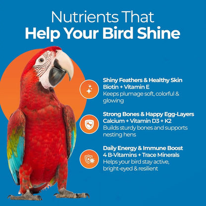 Bird Vitamins