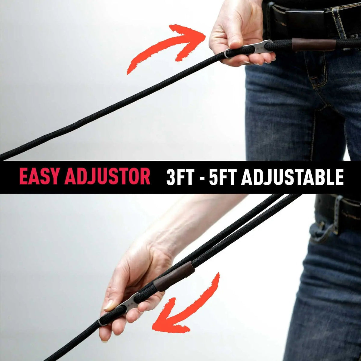 Dog Leash Set