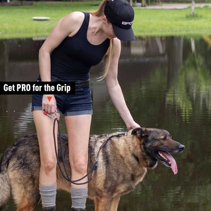 Dog Leash Set