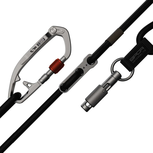 Dog Leash Set