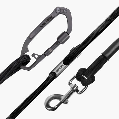 Dog Leash Set