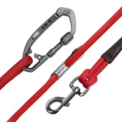 Dog Leash Set