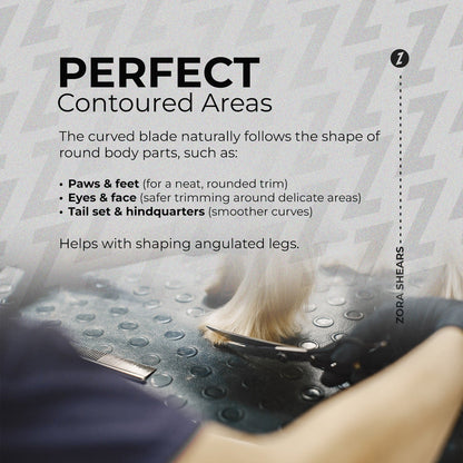 Pet Curved Shear