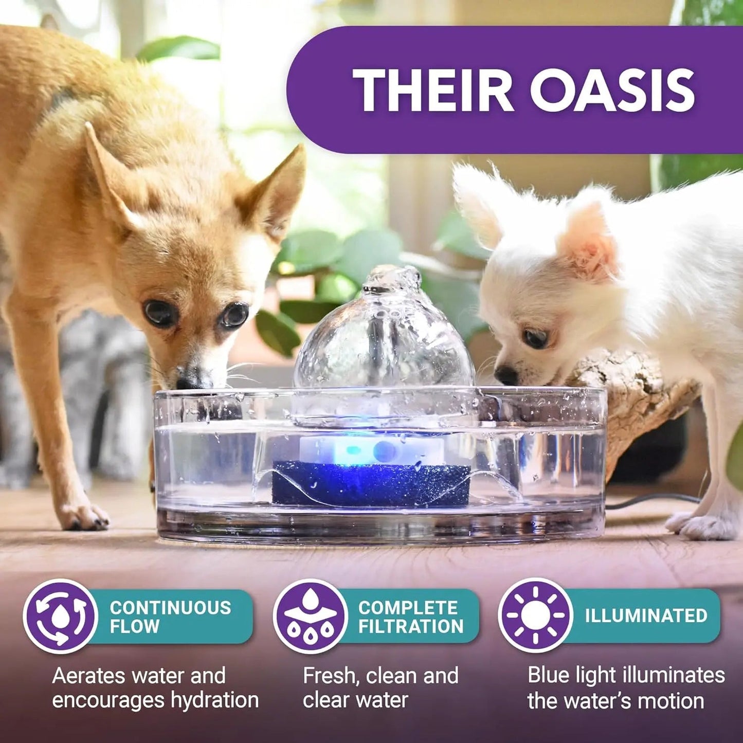 Pet Water Fountain