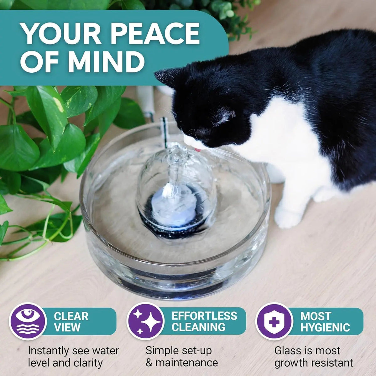 Pet Water Fountain