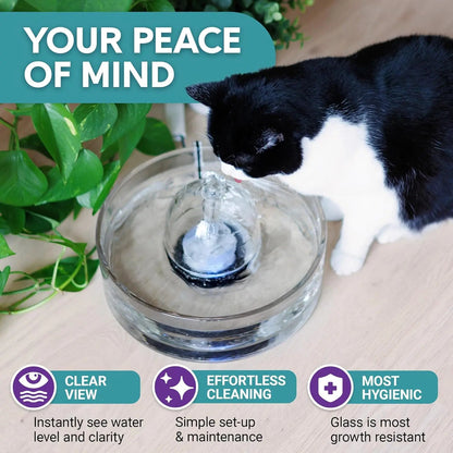 Pet Water Fountain