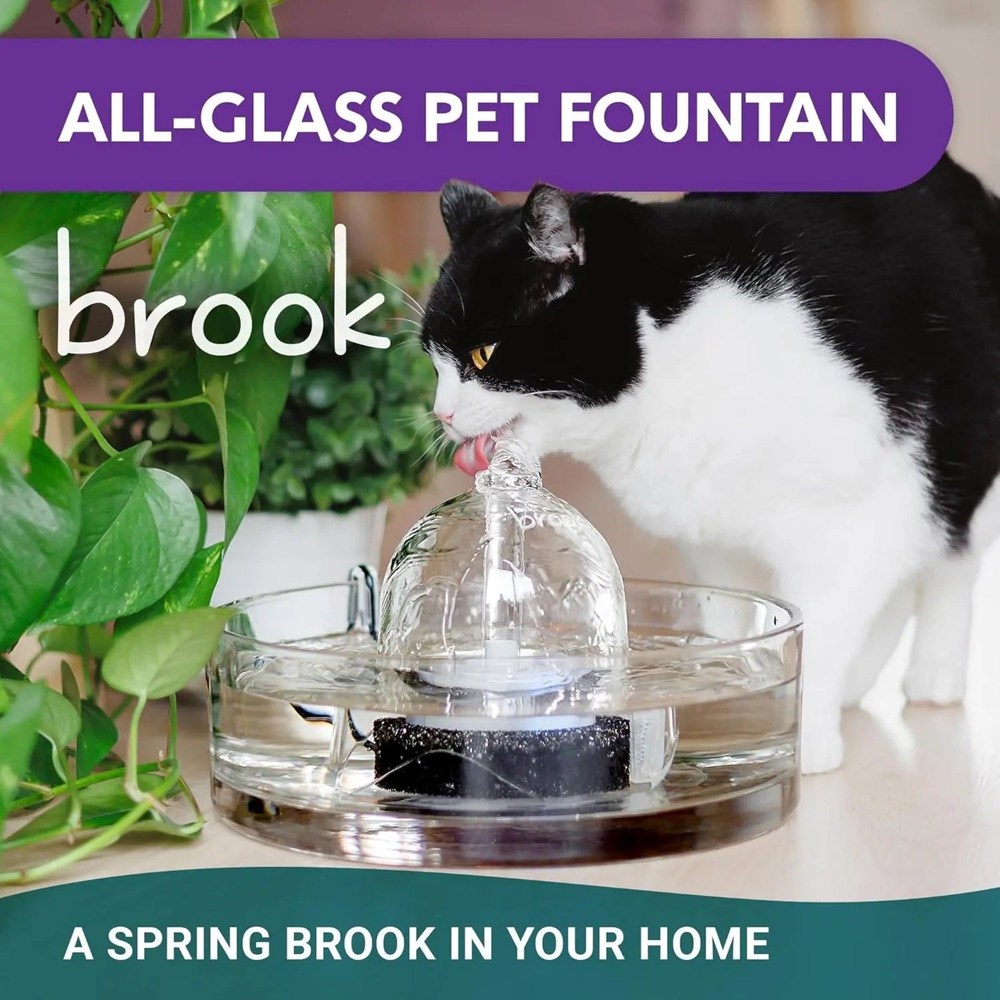Pet Water Fountain