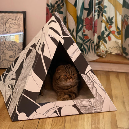 Cardboard Cat Pyramid