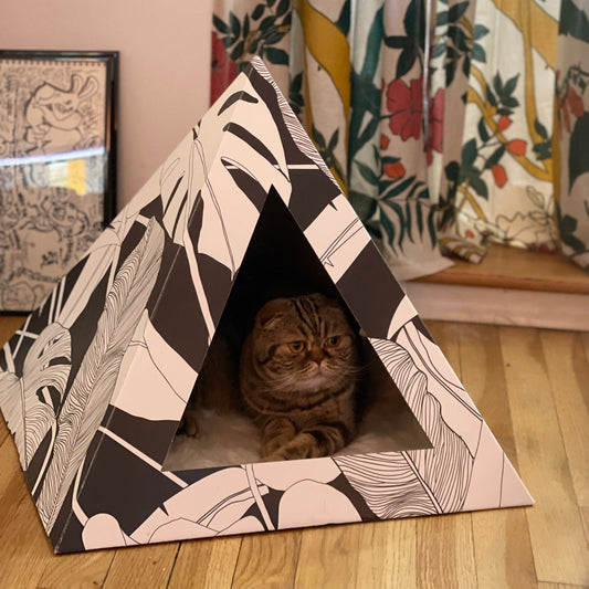 Cardboard Cat Pyramid