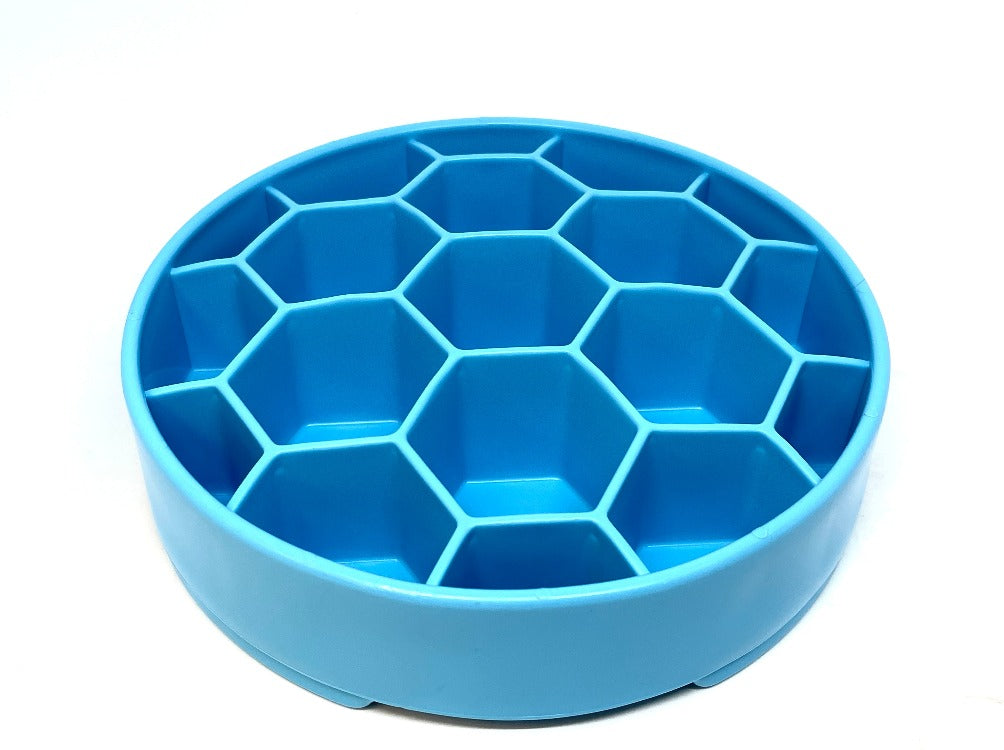 Slow Feeder Bowl