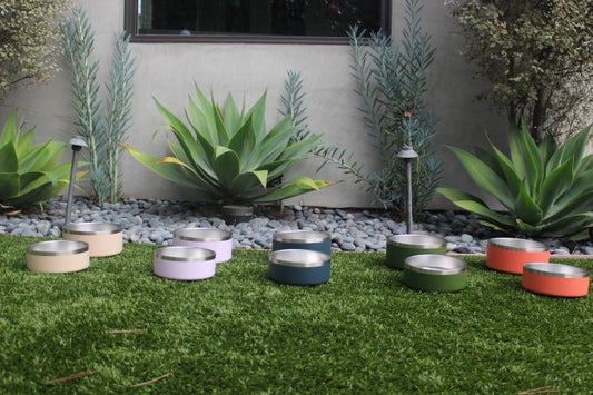 Stainless Steel Pet Bowl