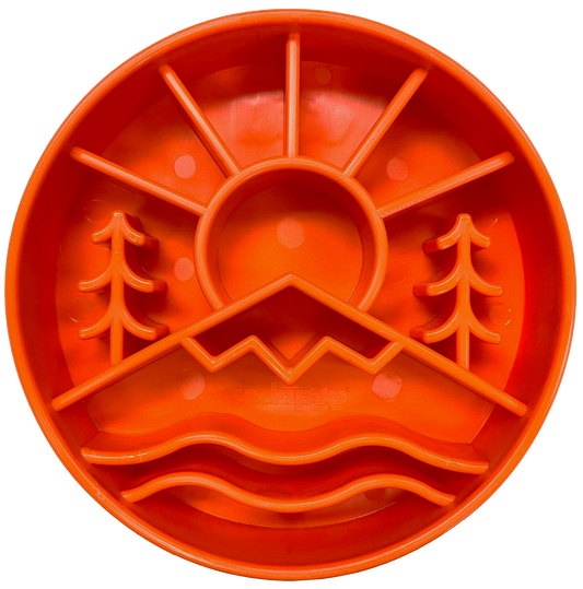 Slow Feeder Dog Bowl