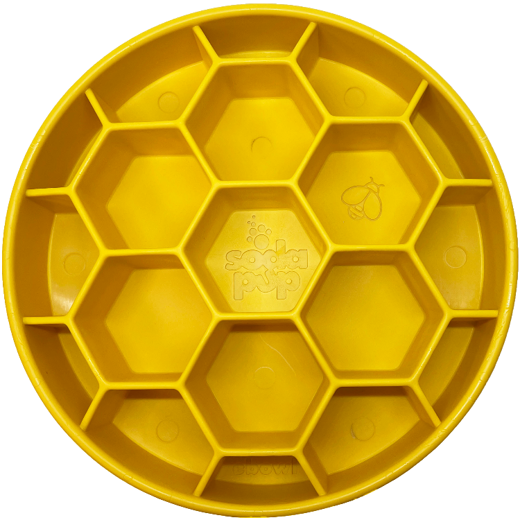 Slow Feeder Bowl
