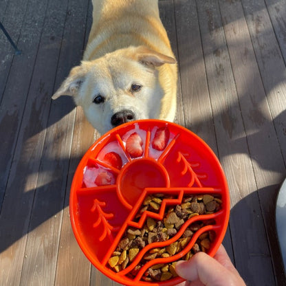Slow Feeder Dog Bowl
