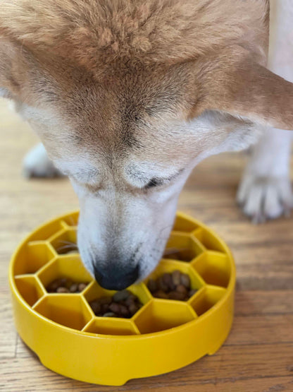 Slow Feeder Bowl