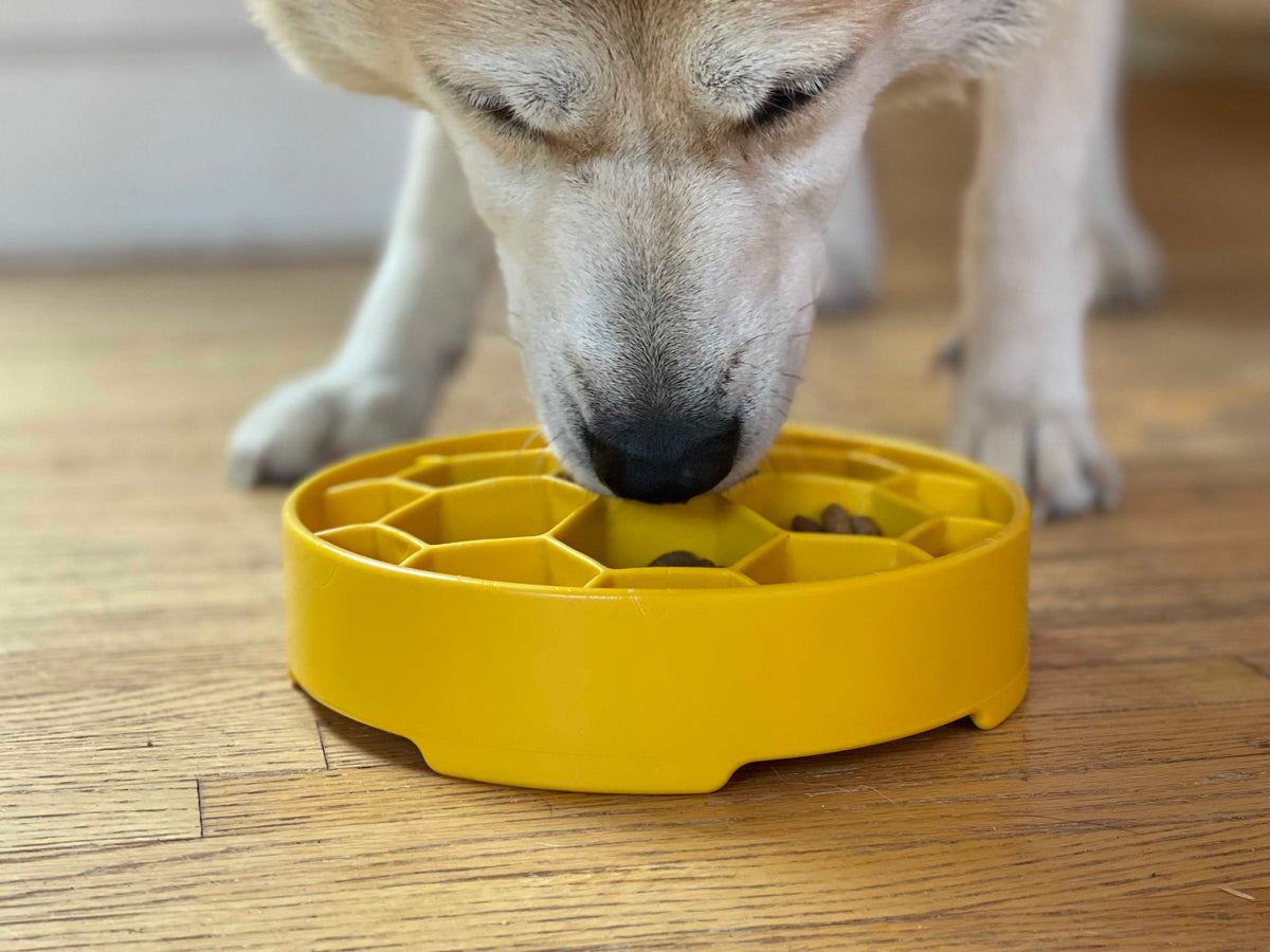 Slow Feeder Bowl