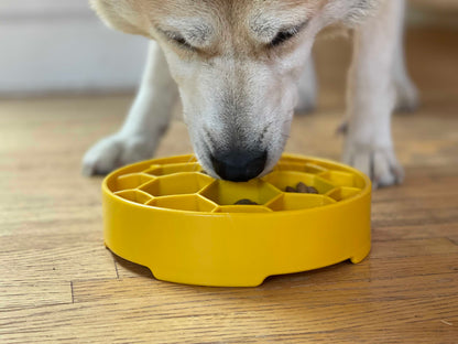 Slow Feeder Bowl