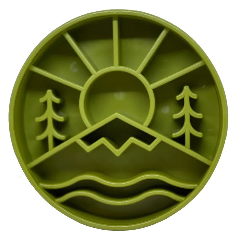 Slow Feeder Dog Bowl