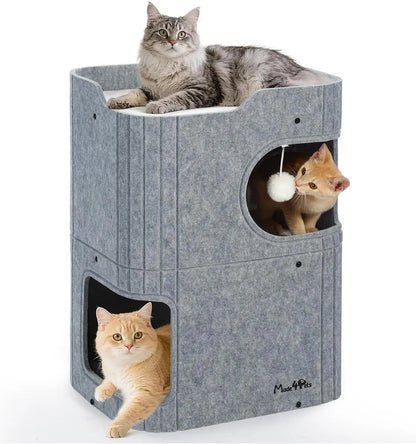 Indoor Cat House