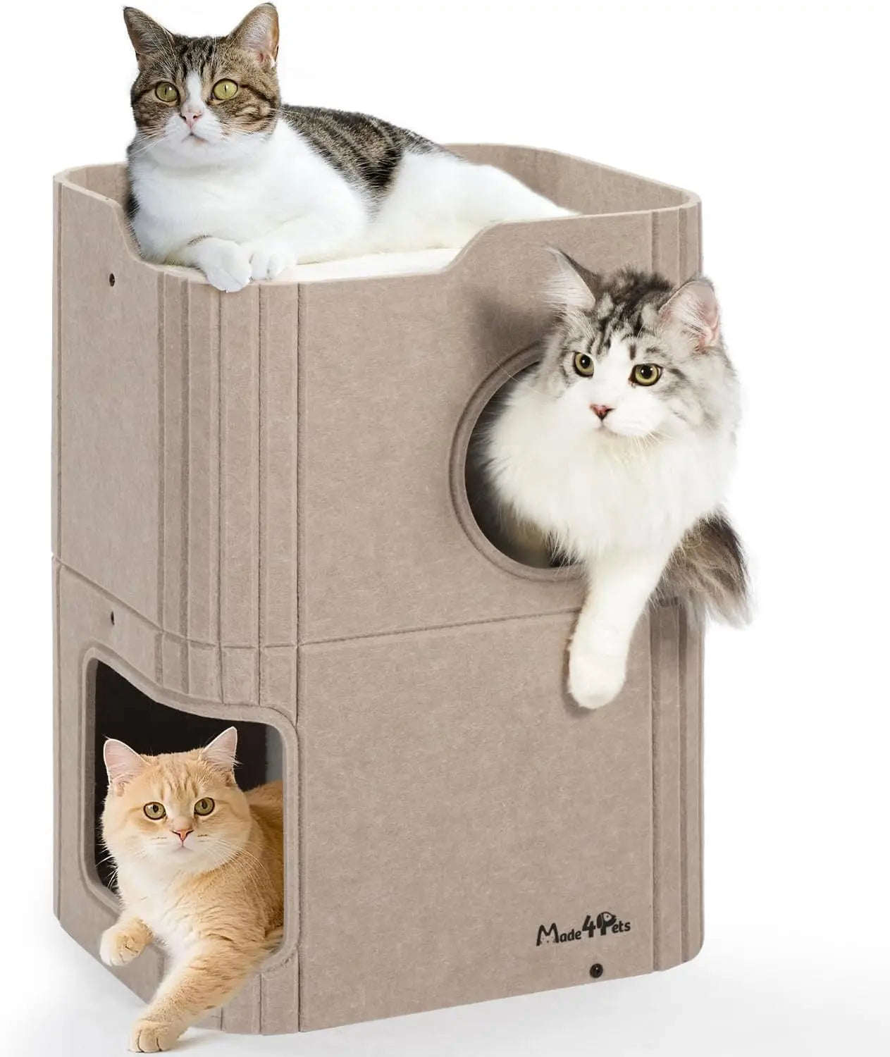 Indoor Cat House