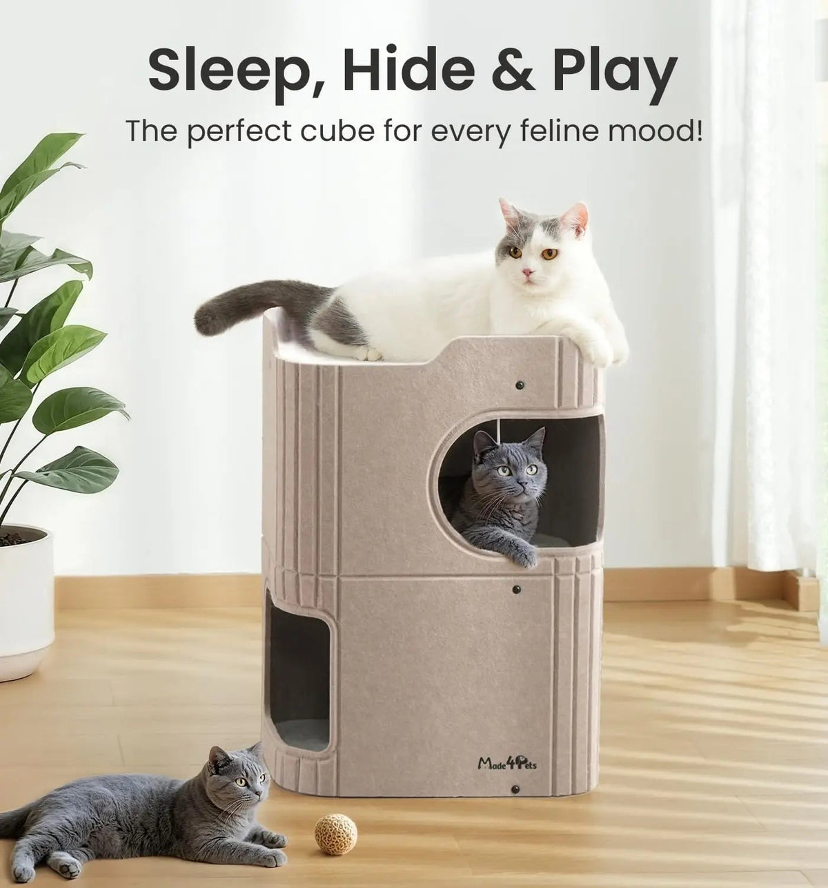 Indoor Cat House