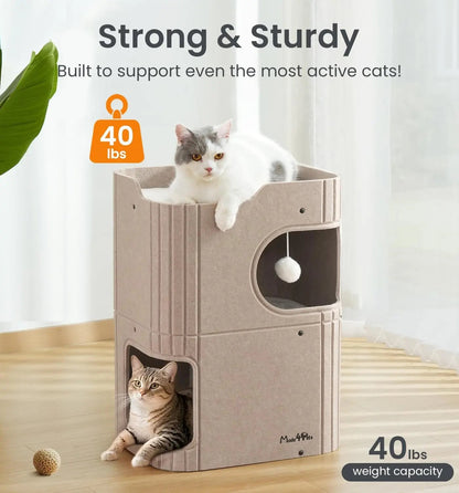 Indoor Cat House