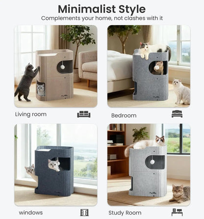 Indoor Cat House