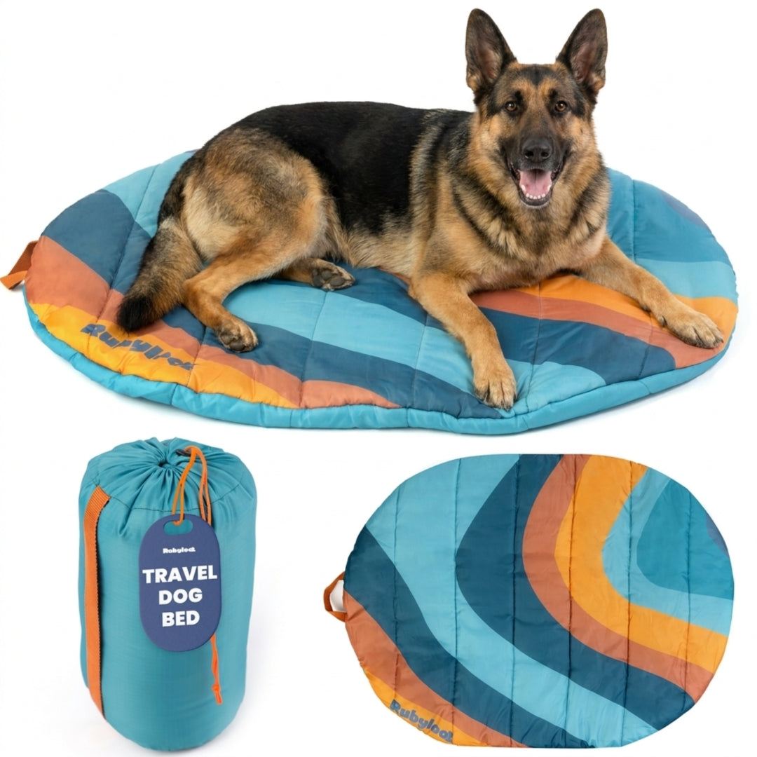 Travel Dog Bed