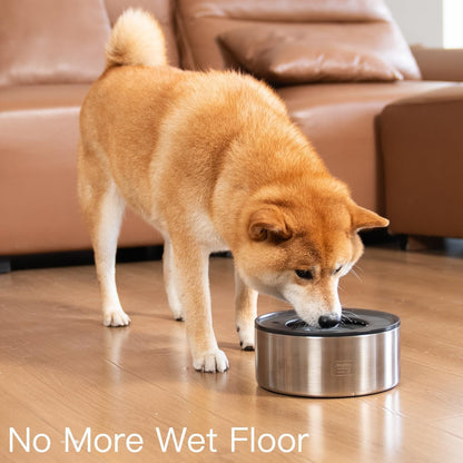 Dog Water Bowl