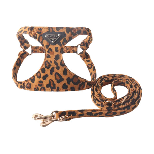 Dog Harness and Leash Set