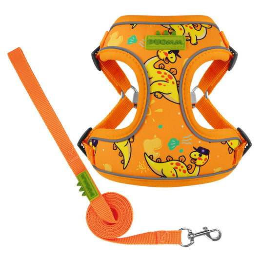 Dog Harness & Leash Set