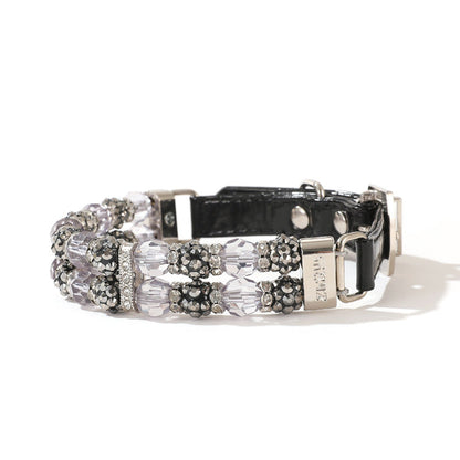 Pet Collar & Leash Set