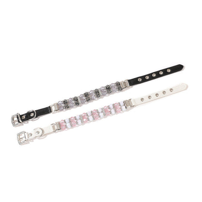 Pet Collar & Leash Set