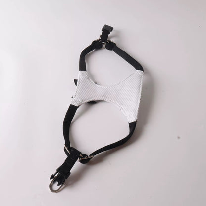 Dog Harness and Leash Set