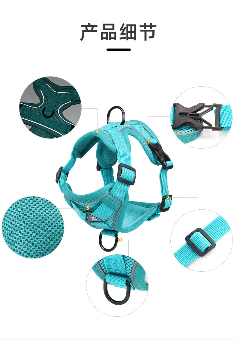 Pet Harness and Leash Set