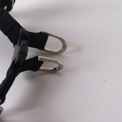 Dog Harness and Leash Set