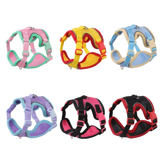 Pet Harness and Leash Set