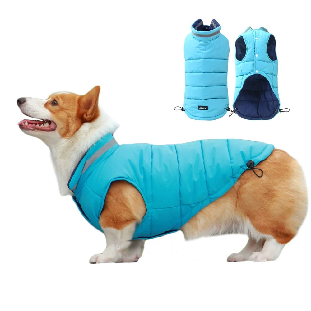 Dog Winter Jacket