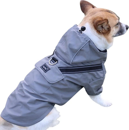 Dog Raincoat w/ Hood