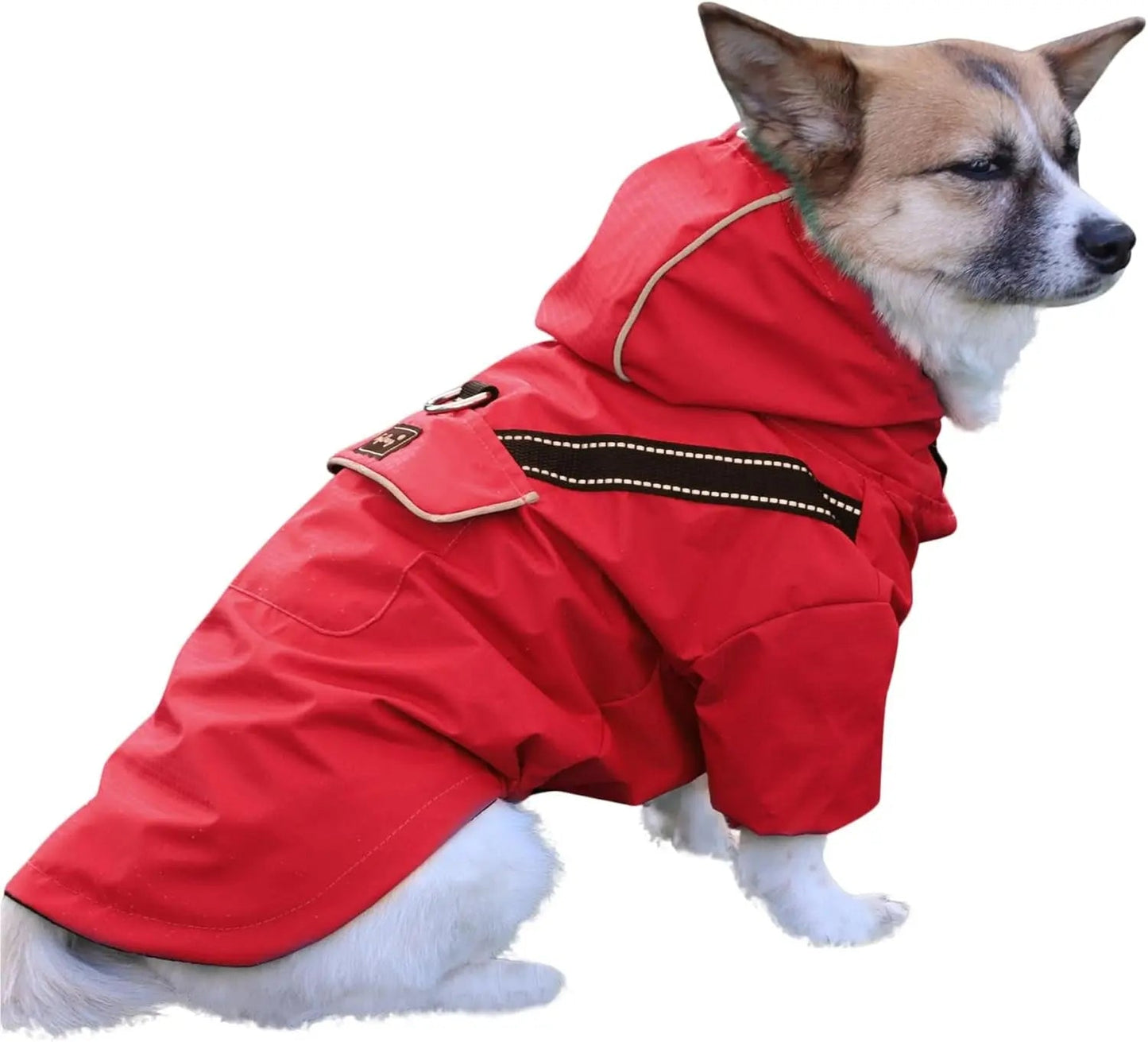 Dog Raincoat w/ Hood