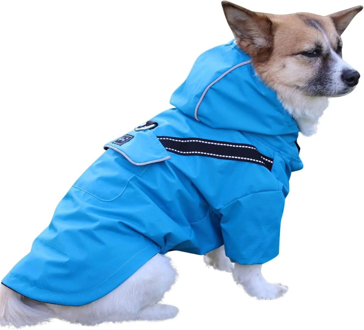 Dog Raincoat w/ Hood