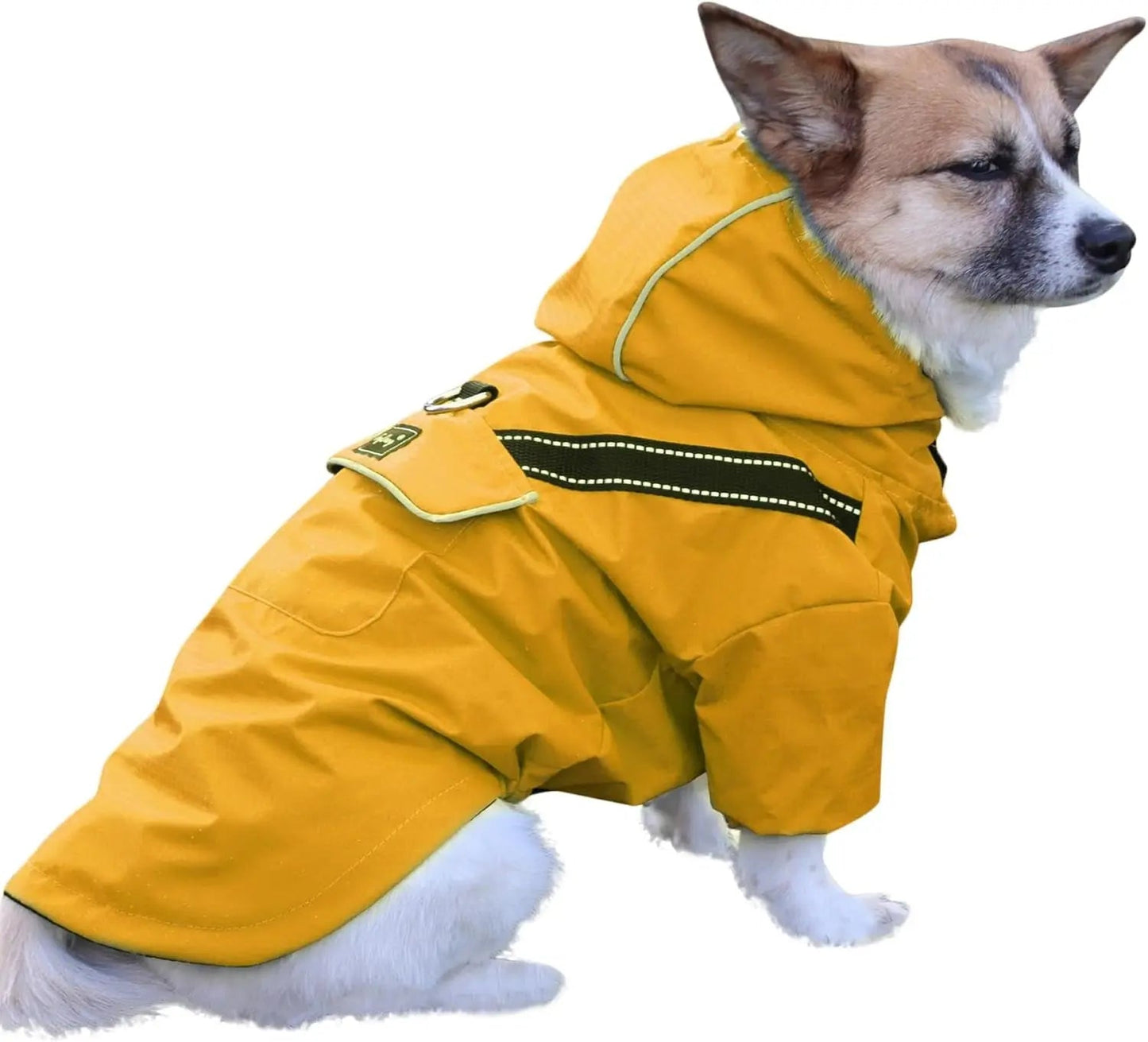 Dog Raincoat w/ Hood