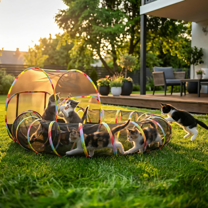Outdoor Cat Enclosure