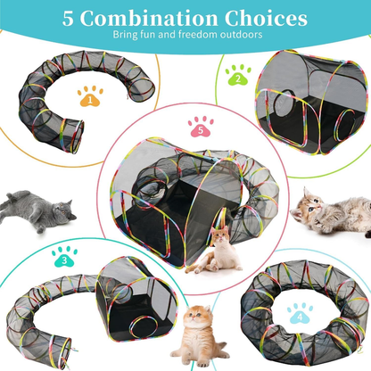 Outdoor Cat Enclosure