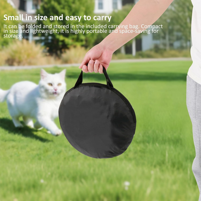 Outdoor Cat Enclosure